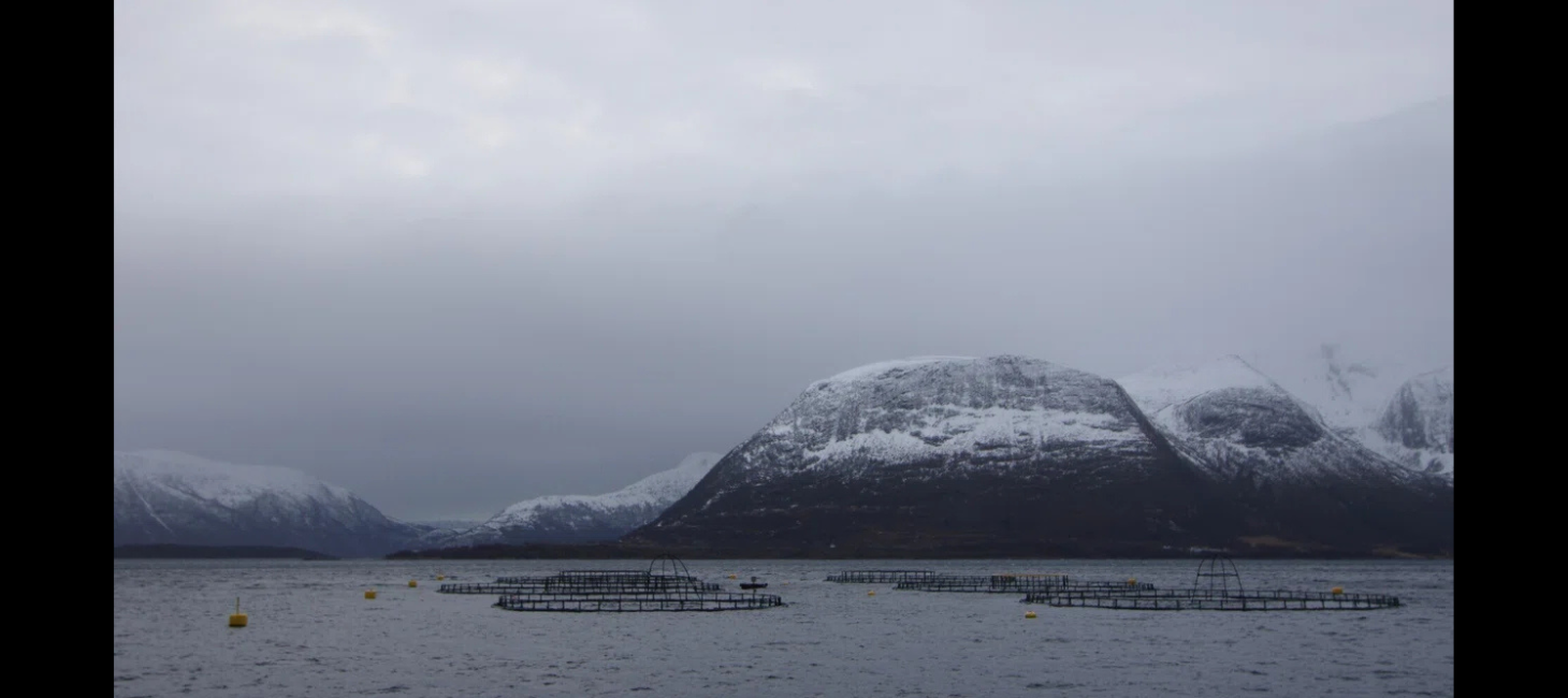 バラバラのススメ【連載】田所敦嗣の出張報告書＜第35回＞